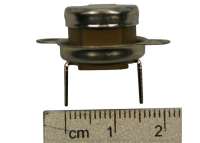 Предохр. термостат отходящих газов 60 С (606930)